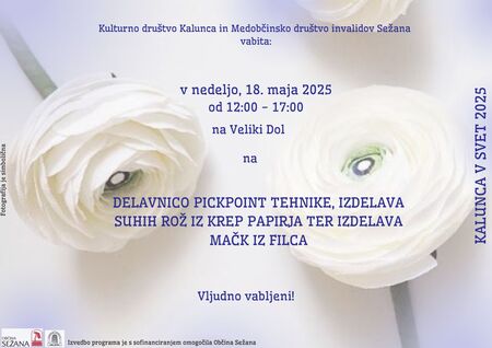 Društvo invalidov Sežana